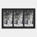 Buscar canino rectangulares pegatinas Lobo