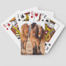 Buscar abrigo barajas de cartas Animal