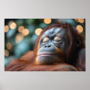 Buscar orangután posters Salvaje