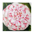 Buscar bastones azulejos Bastón de caramelo