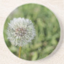 Buscar hierba posavasos Flor