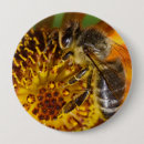 Buscar abeja chapas Colmena