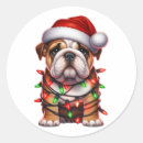 Buscar bulldog americano pegatinas Amante del perro