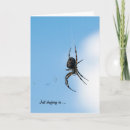 Buscar arácnidos tarjetas Web