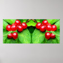 Buscar bayas posters Abstracto