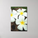 Buscar flores tropicales lienzos Flora