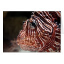 Buscar del lionfish Arrecife de coral