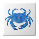 Buscar cangrejo azul azulejos Casa de playa