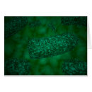 Buscar rabia postales Enfermedad