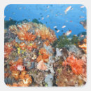 Buscar sealife pegatinas Indonesia