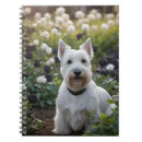 Buscar peludas libretas Peludo