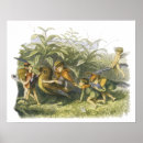Buscar sprite posters Faerie