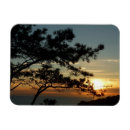 Buscar costa del sol imanes California