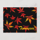 Buscar tennessee postales Otoño
