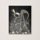 Buscar cráneo fresco puzzles Gótico