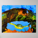 Buscar tortugas arte Rojo