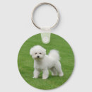 Buscar bichon frise llaveros Perro