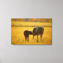 Buscar pasto lienzos Rancho