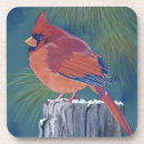 Buscar cardinal posavasos Pájaro