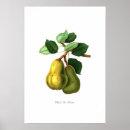 Buscar williams posters Ilustracion