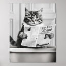 Buscar periódico posters Gato