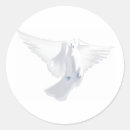 Buscar palomas blancas pegatinas Prometida