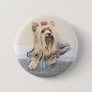 Buscar yorkshire chapas Yorkie