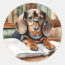 Buscar dachshund pegatinas Animal