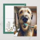 Buscar recordatorio veterinario postales Perro
