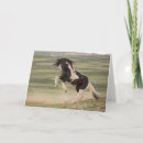 Buscar mustang tarjetas Vida silvestre