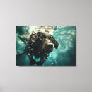 Buscar nadando lienzos Productos de perro