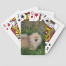 Buscar cámaras barajas de cartas Mirando a la cámara