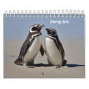 Buscar pingüinos calendarios Aves