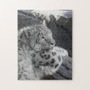 Buscar ojo azul puzzles Felino