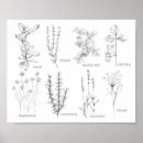 Buscar aromatic posters General y unisex