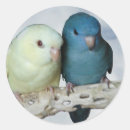 Buscar paracaídas pegatinas Pájaro