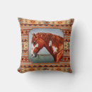Buscar southwest pillow cojines Nativo americano