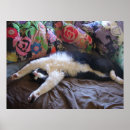Buscar gatos negros posters Para niños