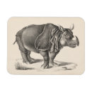 Buscar rinoceronte imanes Animales