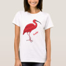 Buscar ibis camisetas 9 ª ibis