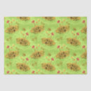 Buscar caracoles papel de seda Bosque