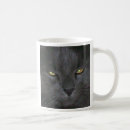 Buscar gato azul ruso tazas Gatito
