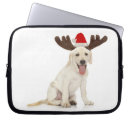 Buscar aduana fundas Canino