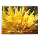 Buscar diario calendarios 2010