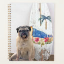 Buscar cachorro agendas Playa