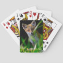 Buscar fox barajas de cartas Bosques