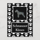 Buscar amante del schnauzer postales Madre