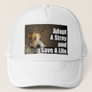 Buscar adopte gorras Refugio
