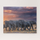 Buscar elefantes puzzles Para todos