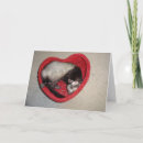 Buscar hurón tarjetas Amor